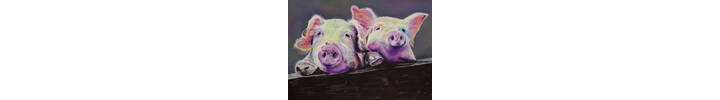 Disco pigs_unmounted