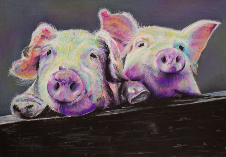 Disco pigs_unmounted