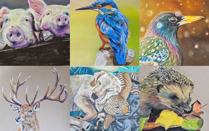 A collage of 6 square crops of pastel artworks, two pigs, a kingfisher, a starling, a stag, a sleeping puppy, and a hedgehog